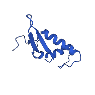 11738_7ae3_F_v1-1
Cryo-EM structure of human RNA Polymerase III elongation complex 3