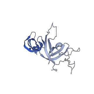 11738_7ae3_G_v1-1
Cryo-EM structure of human RNA Polymerase III elongation complex 3