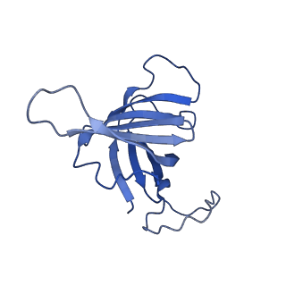 11738_7ae3_H_v1-1
Cryo-EM structure of human RNA Polymerase III elongation complex 3