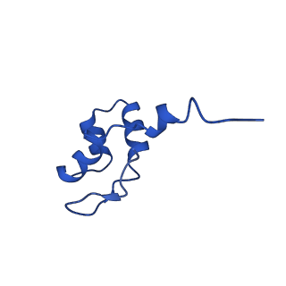 11738_7ae3_J_v1-1
Cryo-EM structure of human RNA Polymerase III elongation complex 3
