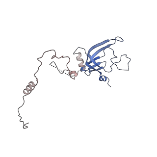 11738_7ae3_N_v1-1
Cryo-EM structure of human RNA Polymerase III elongation complex 3