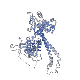 11738_7ae3_O_v1-1
Cryo-EM structure of human RNA Polymerase III elongation complex 3