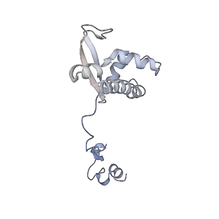 11738_7ae3_P_v1-1
Cryo-EM structure of human RNA Polymerase III elongation complex 3