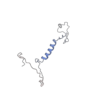 11738_7ae3_Q_v1-1
Cryo-EM structure of human RNA Polymerase III elongation complex 3