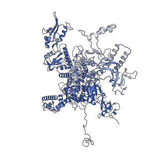 11742_7aea_A_v1-1
Cryo-EM structure of human RNA Polymerase III elongation complex 2