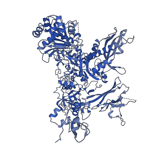 11742_7aea_B_v1-1
Cryo-EM structure of human RNA Polymerase III elongation complex 2