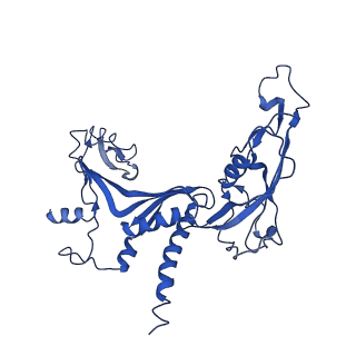 11742_7aea_C_v1-1
Cryo-EM structure of human RNA Polymerase III elongation complex 2