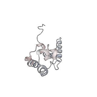 11742_7aea_D_v1-1
Cryo-EM structure of human RNA Polymerase III elongation complex 2