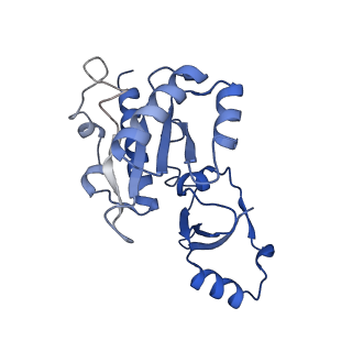 11742_7aea_E_v1-1
Cryo-EM structure of human RNA Polymerase III elongation complex 2