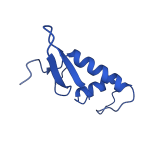11742_7aea_F_v1-1
Cryo-EM structure of human RNA Polymerase III elongation complex 2