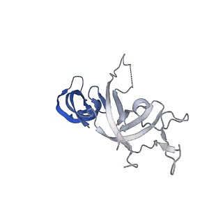 11742_7aea_G_v1-1
Cryo-EM structure of human RNA Polymerase III elongation complex 2
