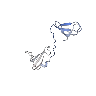 11742_7aea_I_v1-1
Cryo-EM structure of human RNA Polymerase III elongation complex 2