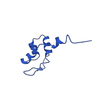 11742_7aea_J_v1-1
Cryo-EM structure of human RNA Polymerase III elongation complex 2