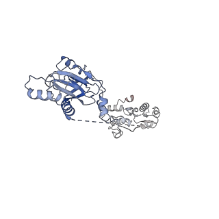 11742_7aea_M_v1-1
Cryo-EM structure of human RNA Polymerase III elongation complex 2