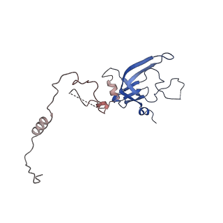 11742_7aea_N_v1-1
Cryo-EM structure of human RNA Polymerase III elongation complex 2