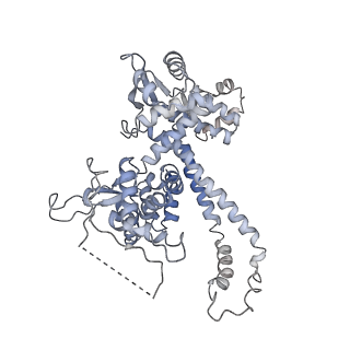 11742_7aea_O_v1-1
Cryo-EM structure of human RNA Polymerase III elongation complex 2