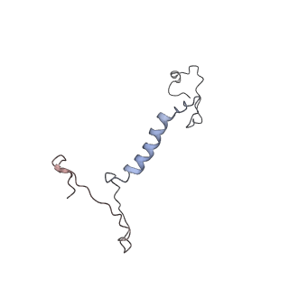 11742_7aea_Q_v1-1
Cryo-EM structure of human RNA Polymerase III elongation complex 2