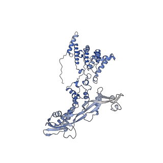 11743_7aeb_A_v1-2
Cryo-EM structure of an extracellular contractile injection system in marine bacterium Algoriphagus machipongonensis, the baseplate complex in extended state applied 6-fold symmetry.