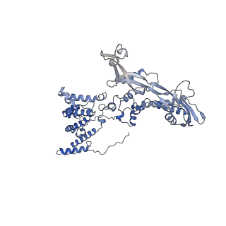 11743_7aeb_C_v1-2
Cryo-EM structure of an extracellular contractile injection system in marine bacterium Algoriphagus machipongonensis, the baseplate complex in extended state applied 6-fold symmetry.