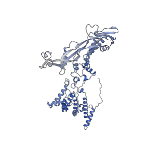 11743_7aeb_D_v1-2
Cryo-EM structure of an extracellular contractile injection system in marine bacterium Algoriphagus machipongonensis, the baseplate complex in extended state applied 6-fold symmetry.