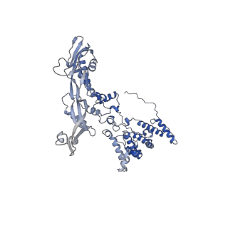 11743_7aeb_E_v1-2
Cryo-EM structure of an extracellular contractile injection system in marine bacterium Algoriphagus machipongonensis, the baseplate complex in extended state applied 6-fold symmetry.