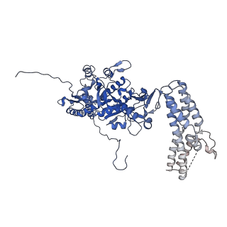 11743_7aeb_f_v1-2
Cryo-EM structure of an extracellular contractile injection system in marine bacterium Algoriphagus machipongonensis, the baseplate complex in extended state applied 6-fold symmetry.