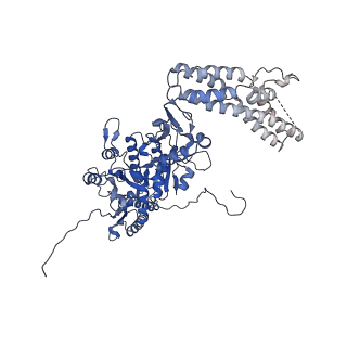 11743_7aeb_g_v1-2
Cryo-EM structure of an extracellular contractile injection system in marine bacterium Algoriphagus machipongonensis, the baseplate complex in extended state applied 6-fold symmetry.