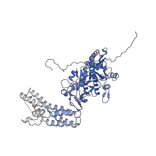 11743_7aeb_j_v1-2
Cryo-EM structure of an extracellular contractile injection system in marine bacterium Algoriphagus machipongonensis, the baseplate complex in extended state applied 6-fold symmetry.