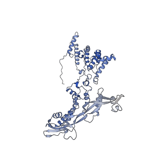 11745_7aef_A_v1-2
Cryo-EM structure of an extracellular contractile injection system in marine bacterium Algoriphagus machipongonensis, the baseplate complex in extended state applied 3-fold symmetry.