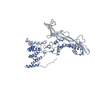 11745_7aef_E_v1-2
Cryo-EM structure of an extracellular contractile injection system in marine bacterium Algoriphagus machipongonensis, the baseplate complex in extended state applied 3-fold symmetry.