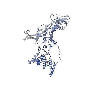 11745_7aef_F_v1-2
Cryo-EM structure of an extracellular contractile injection system in marine bacterium Algoriphagus machipongonensis, the baseplate complex in extended state applied 3-fold symmetry.
