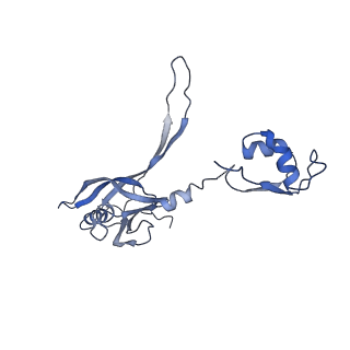 11745_7aef_Q_v1-2
Cryo-EM structure of an extracellular contractile injection system in marine bacterium Algoriphagus machipongonensis, the baseplate complex in extended state applied 3-fold symmetry.