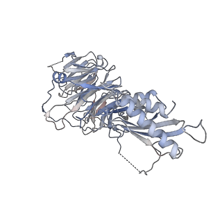 15381_8ae6_Q_v1-4
Cryo-EM structure of the SEA complex wing (SEACIT)