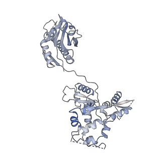 15381_8ae6_S_v1-4
Cryo-EM structure of the SEA complex wing (SEACIT)