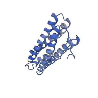 15389_8aey_K_v1-1
3 A CRYO-EM STRUCTURE OF MYCOBACTERIUM TUBERCULOSIS FERRITIN FROM TIMEPIX3 detector