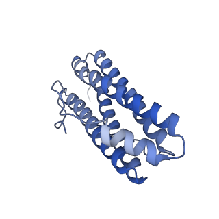 15389_8aey_M_v1-1
3 A CRYO-EM STRUCTURE OF MYCOBACTERIUM TUBERCULOSIS FERRITIN FROM TIMEPIX3 detector