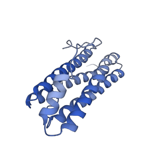 15389_8aey_P_v1-1
3 A CRYO-EM STRUCTURE OF MYCOBACTERIUM TUBERCULOSIS FERRITIN FROM TIMEPIX3 detector