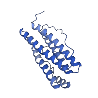 15389_8aey_S_v1-1
3 A CRYO-EM STRUCTURE OF MYCOBACTERIUM TUBERCULOSIS FERRITIN FROM TIMEPIX3 detector