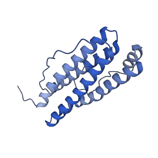 15389_8aey_T_v1-1
3 A CRYO-EM STRUCTURE OF MYCOBACTERIUM TUBERCULOSIS FERRITIN FROM TIMEPIX3 detector