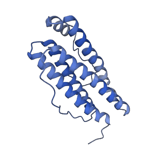 15389_8aey_V_v1-1
3 A CRYO-EM STRUCTURE OF MYCOBACTERIUM TUBERCULOSIS FERRITIN FROM TIMEPIX3 detector