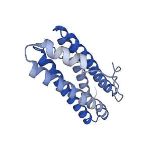 15389_8aey_X_v1-1
3 A CRYO-EM STRUCTURE OF MYCOBACTERIUM TUBERCULOSIS FERRITIN FROM TIMEPIX3 detector