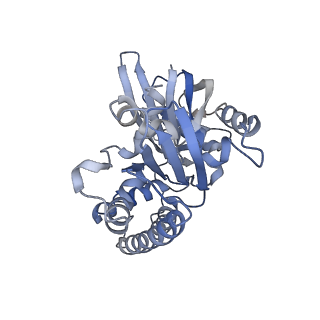 2850_5aey_A_v1-2
actin-like ParM protein bound to AMPPNP