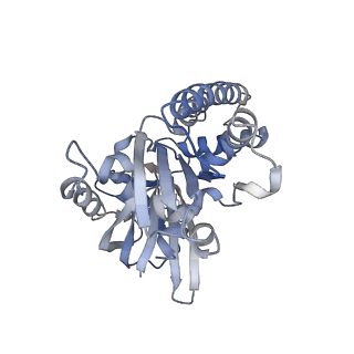 2850_5aey_B_v1-2
actin-like ParM protein bound to AMPPNP