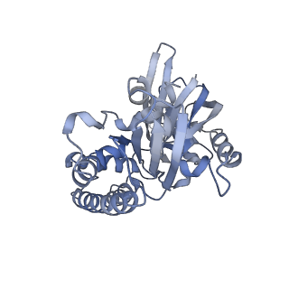 2850_5aey_C_v1-2
actin-like ParM protein bound to AMPPNP