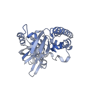 2850_5aey_D_v1-2
actin-like ParM protein bound to AMPPNP