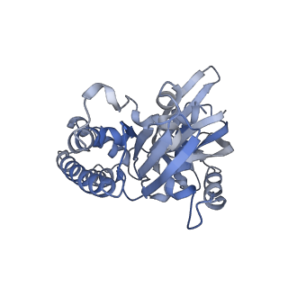 2850_5aey_E_v1-2
actin-like ParM protein bound to AMPPNP