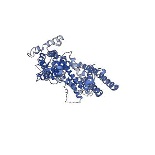 9615_6aei_D_v1-1
Cryo-EM structure of the receptor-activated TRPC5 ion channel