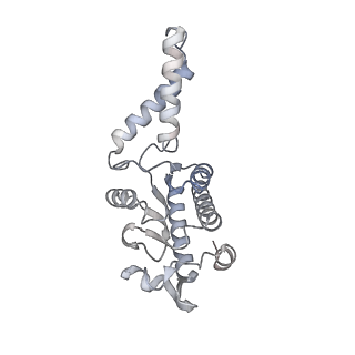 11751_7af3_B_v1-1
Bacterial 30S ribosomal subunit assembly complex state M (head domain)
