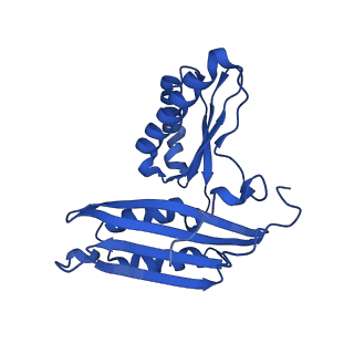 11751_7af3_C_v1-1
Bacterial 30S ribosomal subunit assembly complex state M (head domain)