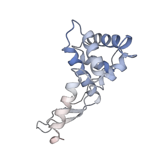 11751_7af3_G_v1-1
Bacterial 30S ribosomal subunit assembly complex state M (head domain)